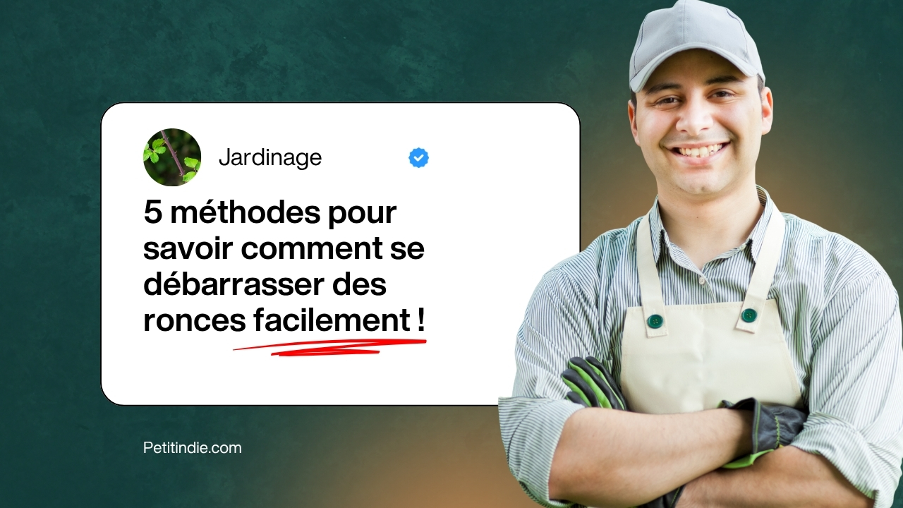 Découvrez 5 méthodes efficaces pour éliminer les ronces facilement et prendre soin de votre jardin.